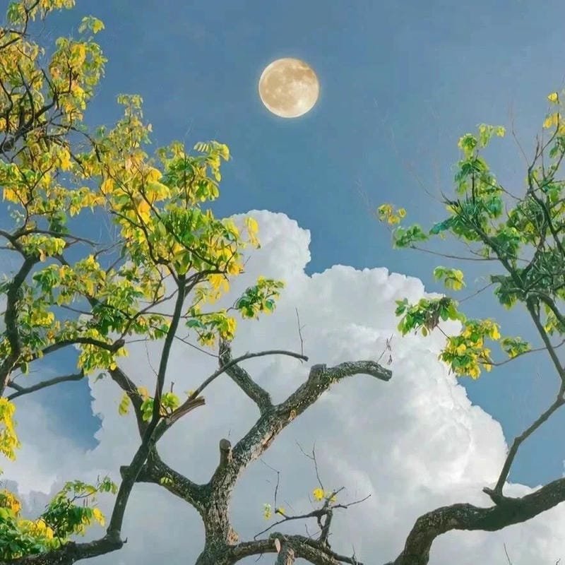 ảnh bầu trời hoàng hôn cực chill