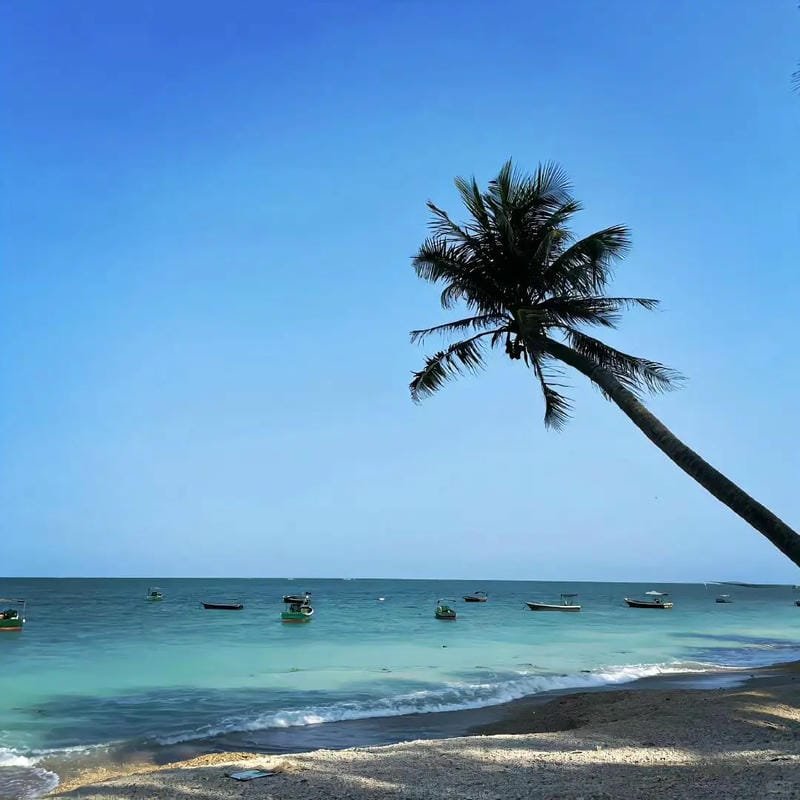 ảnh biển bình minh rực rỡ
