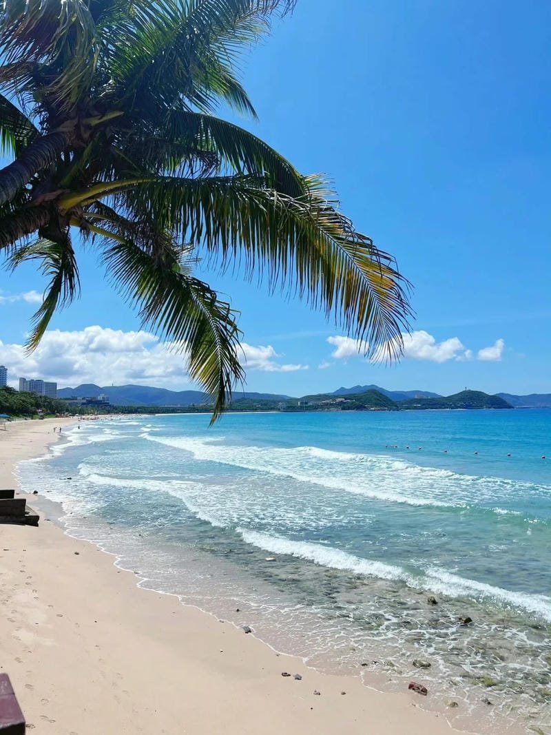 ảnh biển bình yên chữa lành tâm hồn
