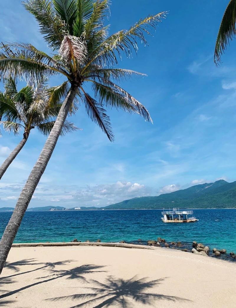 ảnh biển chill buổi chiều lộng gió