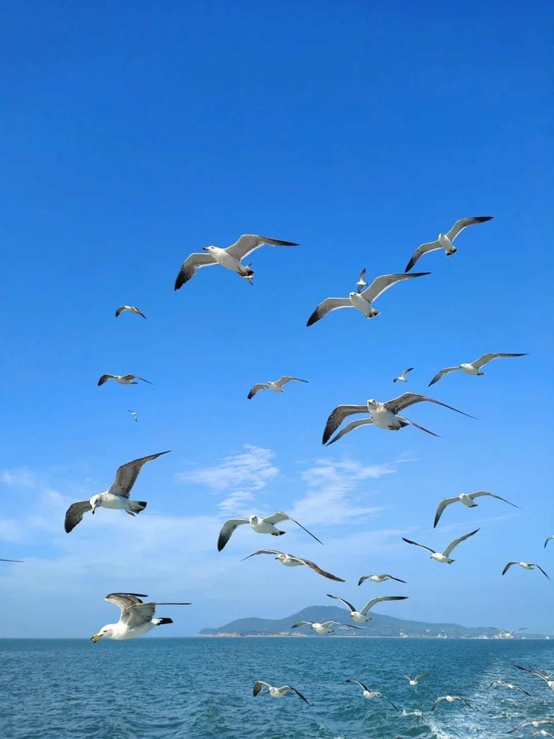 ảnh biển đẹp mang vibe mùa hè