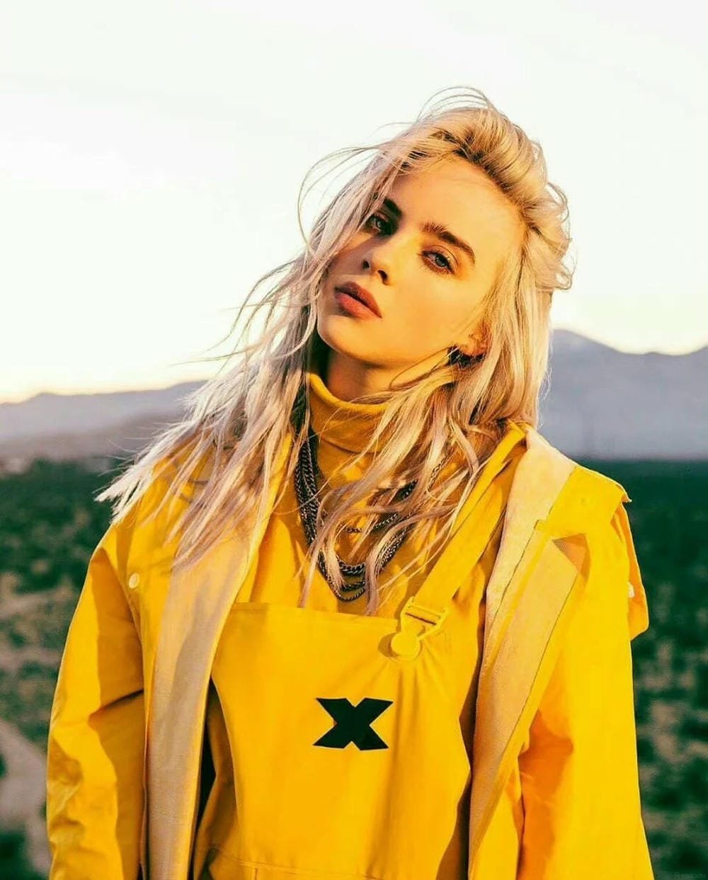 ảnh billie eilish sexy cực kỳ nổi bật ảnh billie eilish sexy cực kỳ nổi bật