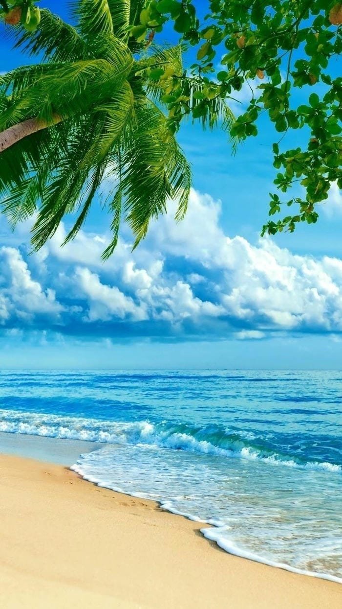 ảnh cảnh biển ban ngày siêu chill