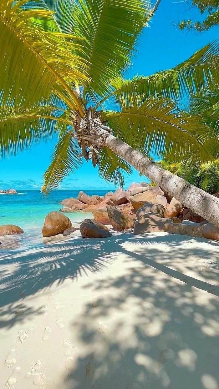 ảnh cảnh biển ban ngày tuyệt đẹp