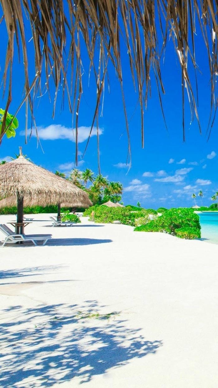 ảnh cảnh biển ban ngày view cực phẩm