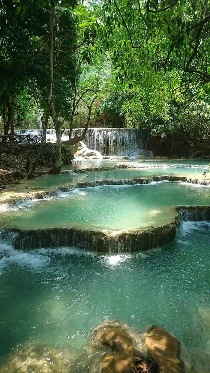ảnh cảnh thiên nhiên hoang sơ đầy sức sống
