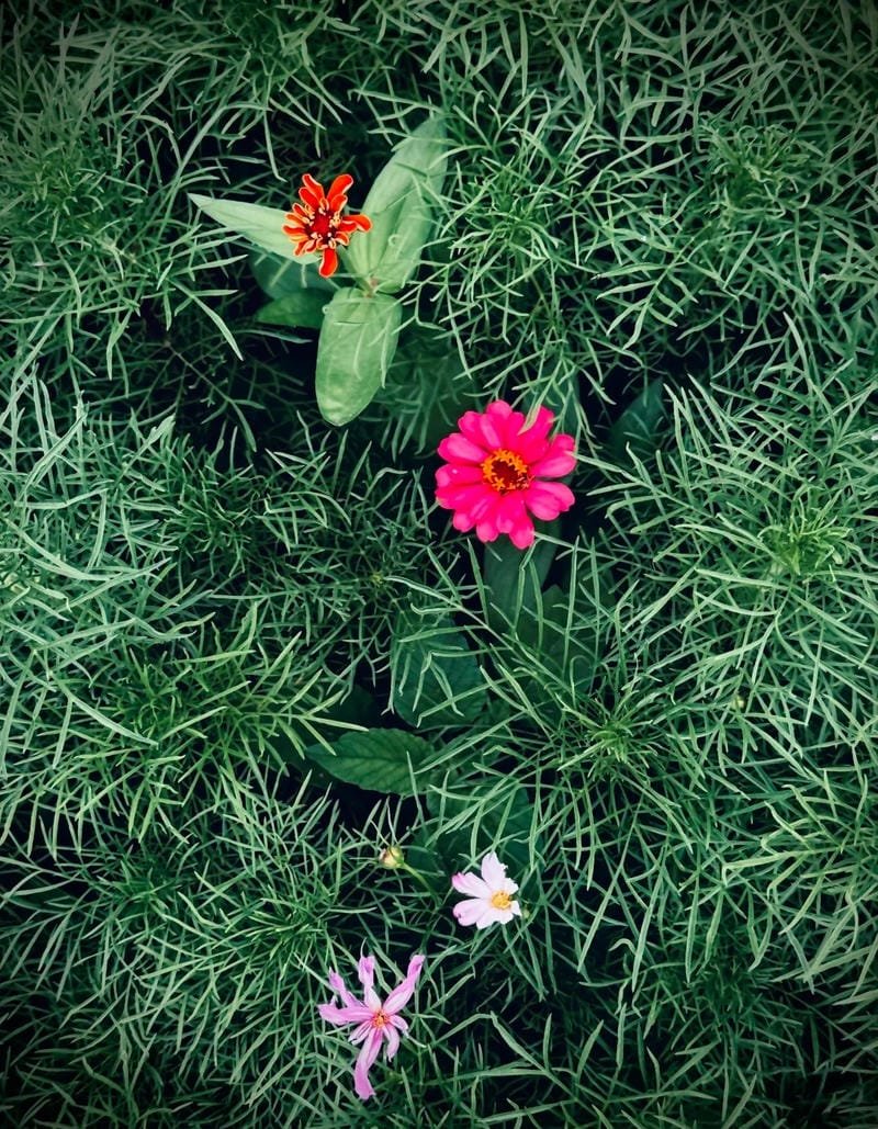 ảnh chill đẹp như một thước phim