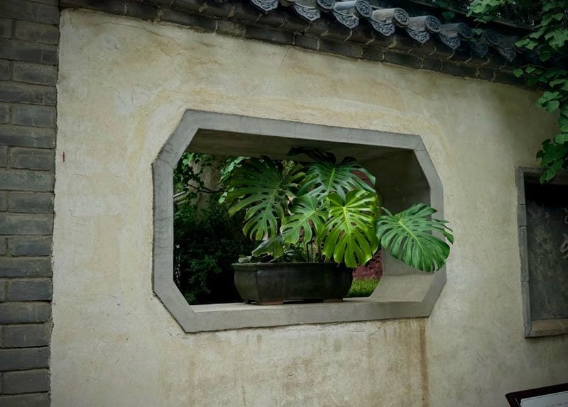 ảnh chill không khí dịu dàng thư giãn