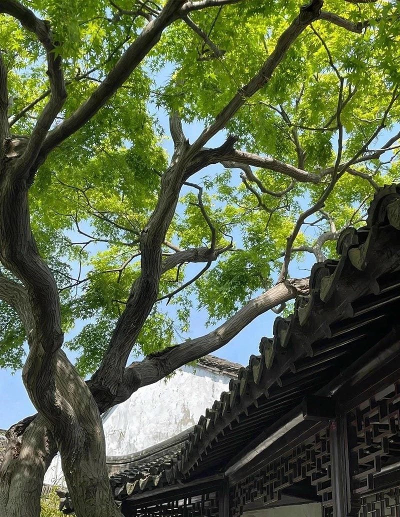 ảnh chill nhẹ nhàng và sâu lắng