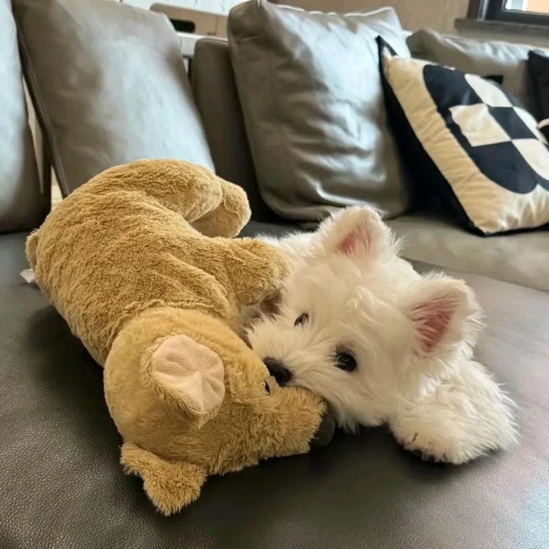 ảnh chó siêu cute đang tạo dáng