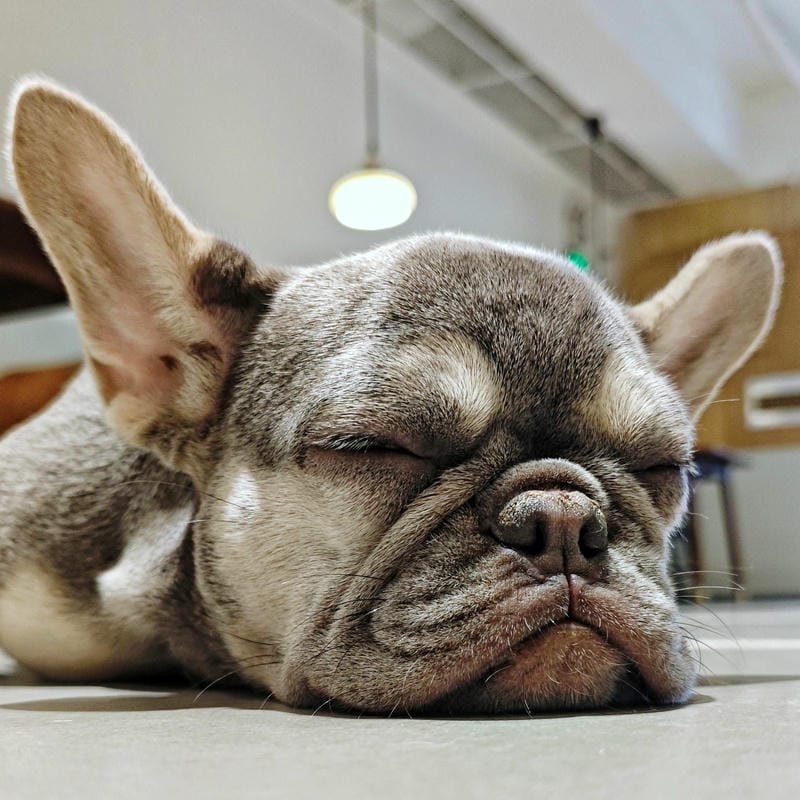 ảnh hài troll cực kỳ bá đạo