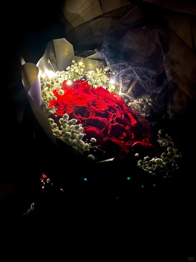 ảnh hoa hồng bên ánh nắng