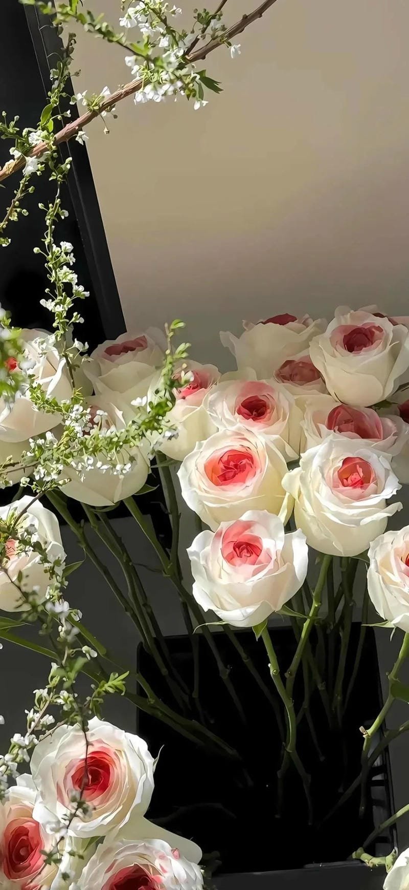 ảnh hoa hồng đen đầy bí ẩn