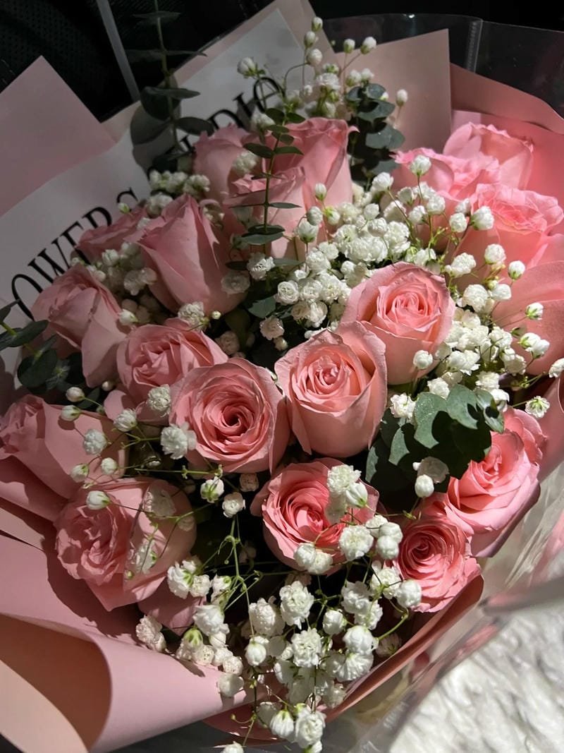 ảnh hoa hồng đẹp đầy cảm xúc