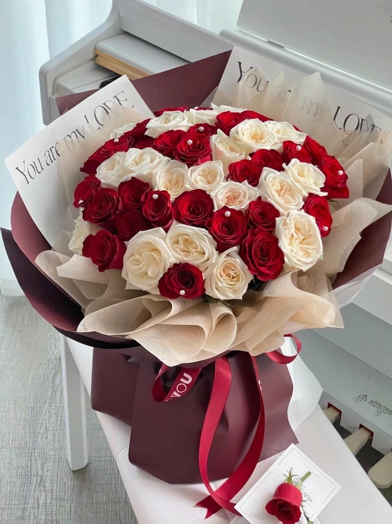 ảnh hoa hồng khoe sắc rực rỡ