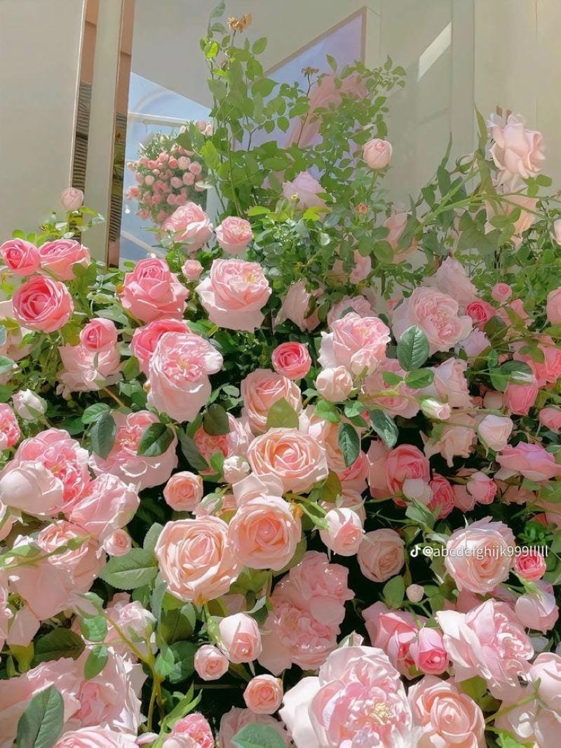 ảnh hoa thơ mộng giữa khu vườn