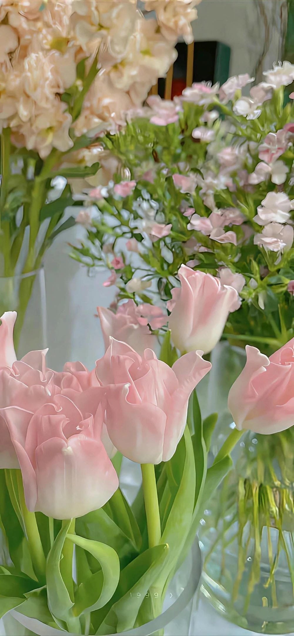 ảnh hoa tulip đẹp tự nhiên ảnh hoa tulip đẹp tự nhiên