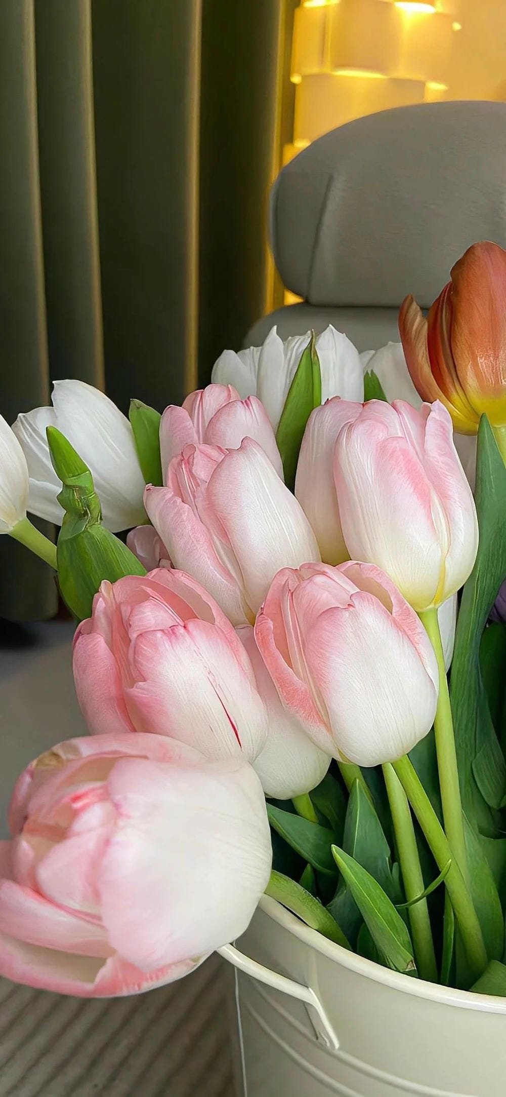 Tổng Hợp 200+ Ảnh Hoa Tulip Rực Rỡ Mang Lại May Mắn Tài Lộc