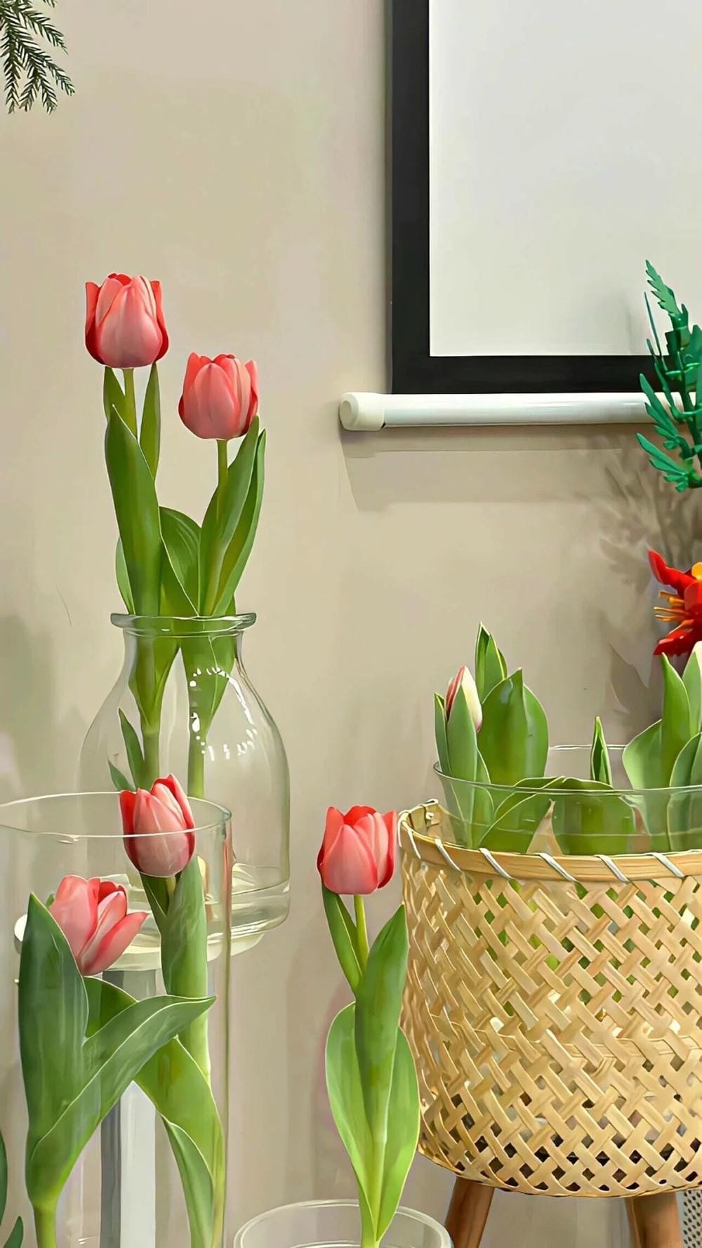 ảnh hoa tulip vàng rực rỡ ảnh hoa tulip vàng rực rỡ