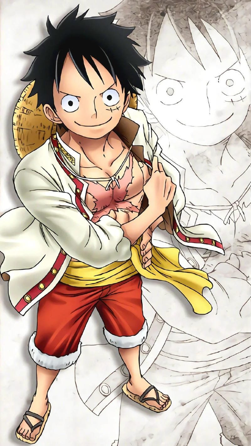 ảnh luffy biểu cảm đầy quyết tâm
