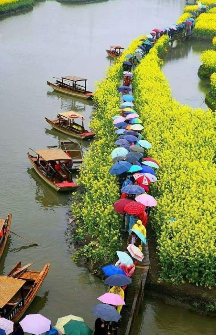ảnh phong cảnh chill đẹp hút mắt ảnh phong cảnh chill đẹp hút mắt