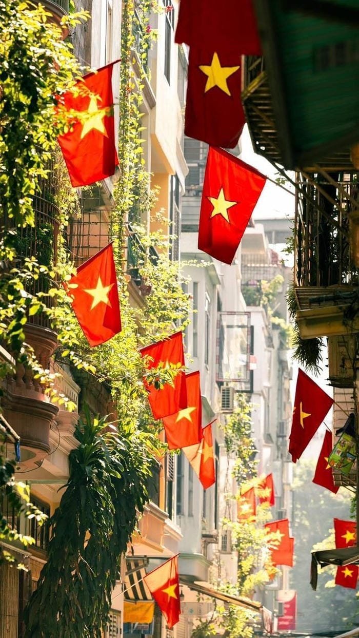 ảnh tết hoa mai vàng rực rỡ