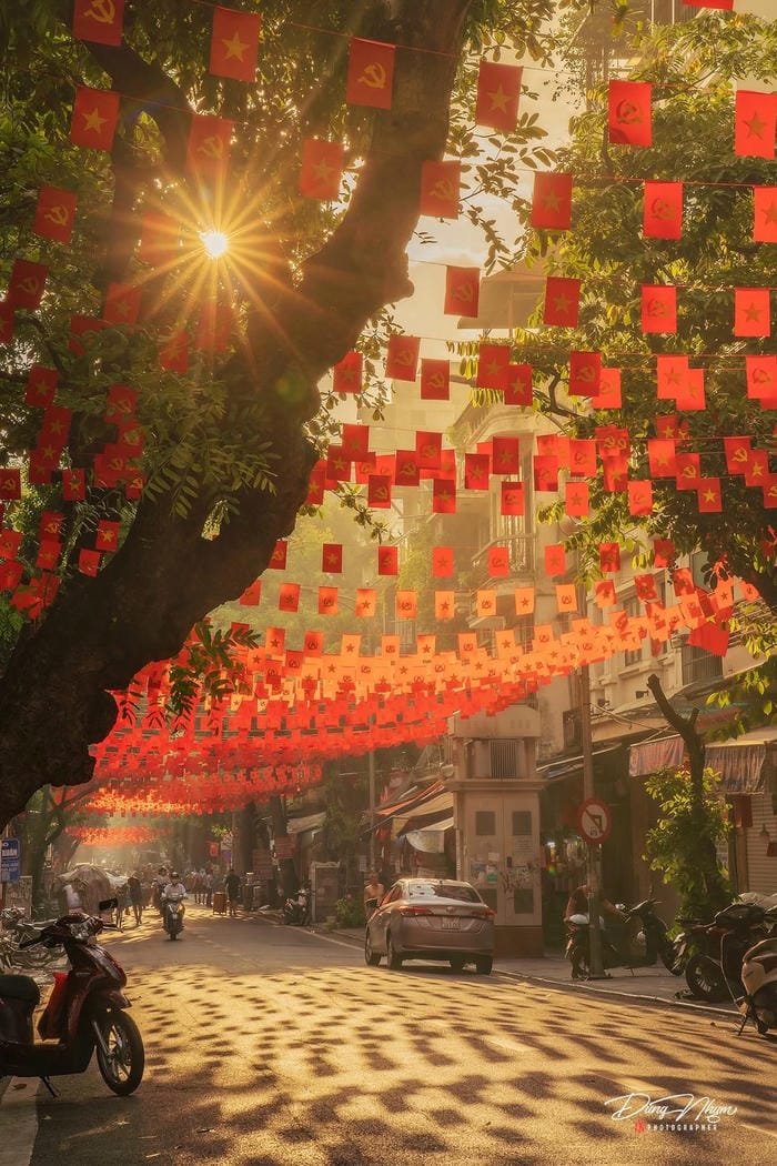 ảnh tết rực rỡ sắc màu xuân