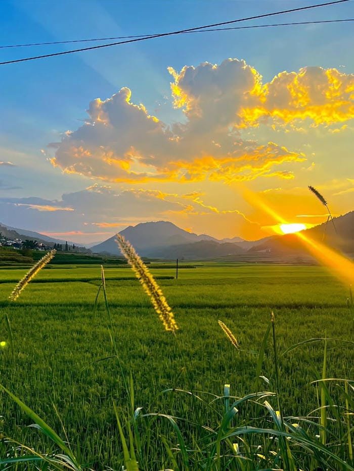 ảnh thiên nhiên thơ mộng làm say đắm