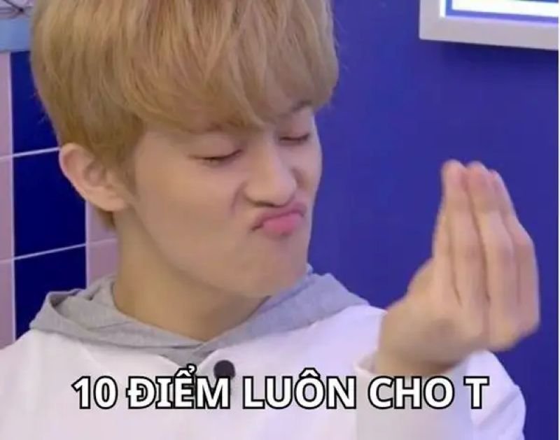 meme 10 điểm bắt trend siêu nhanh