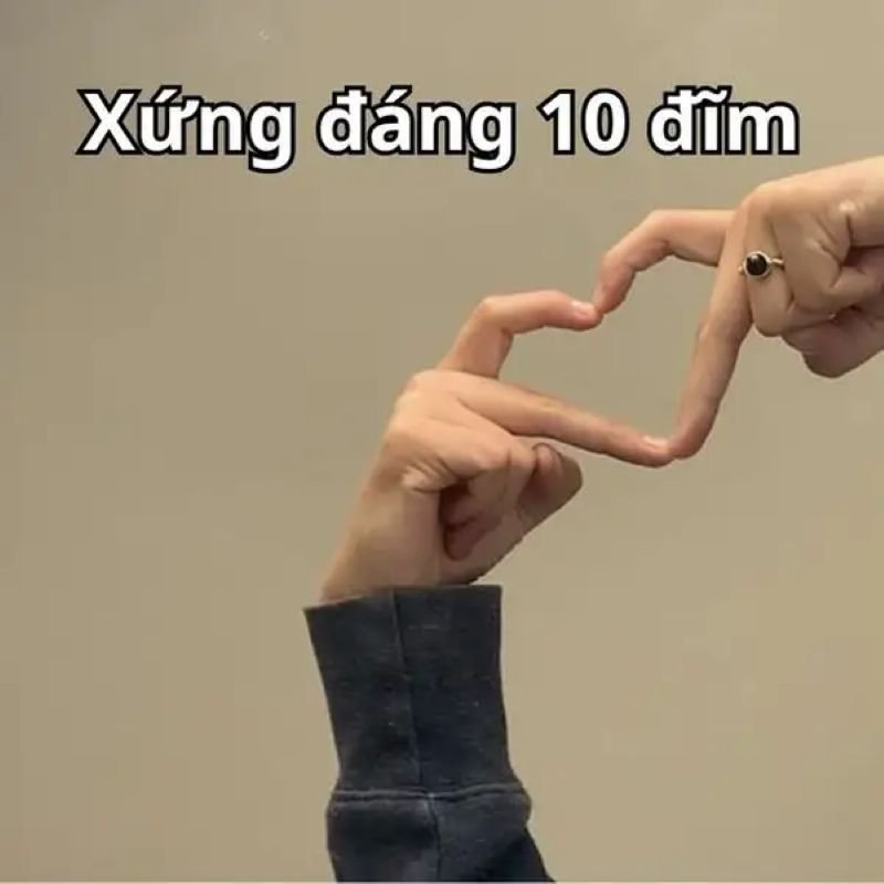 meme 10 điểm cực chất cực vui