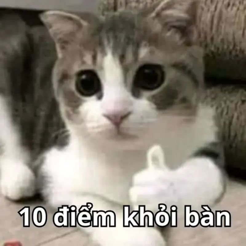 meme 10 điểm cực kỳ lầy lội