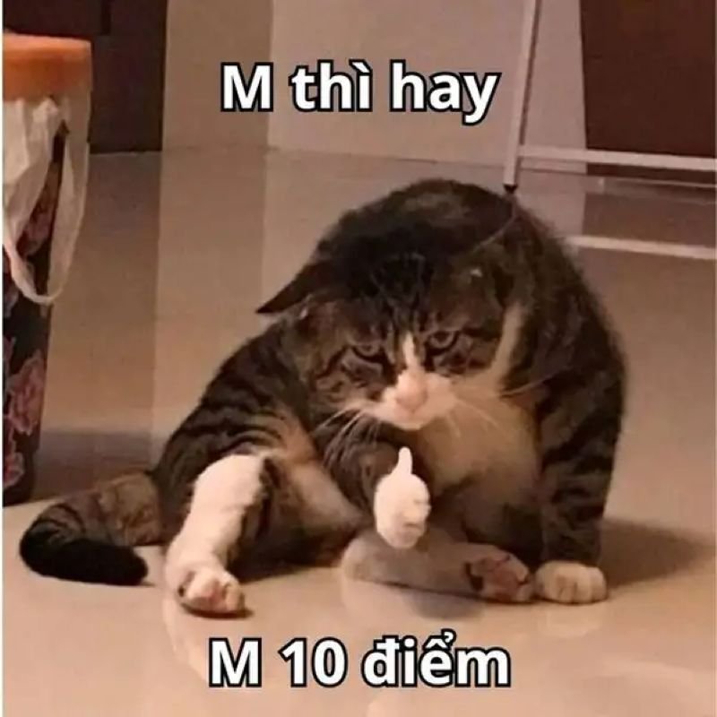 meme 10 điểm độc lạ khó đỡ