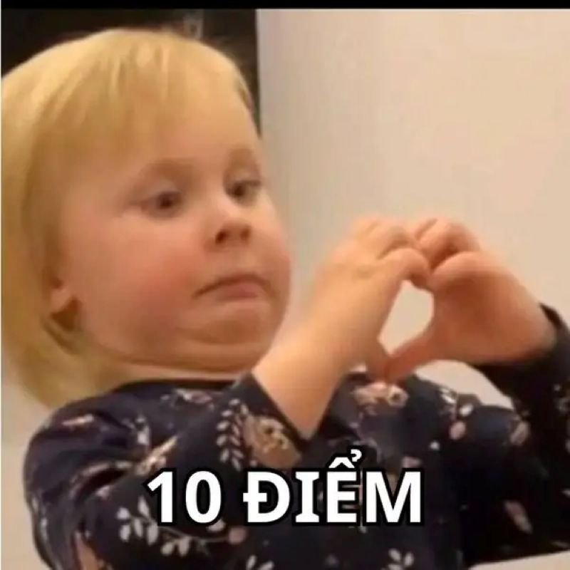 meme 10 điểm giải trí siêu cuốn