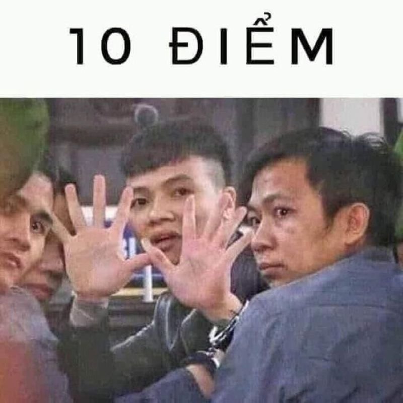 meme 10 điểm hài hước cực cuốn