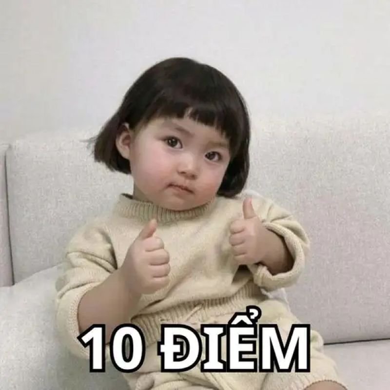 meme 10 điểm hài hước khó quên