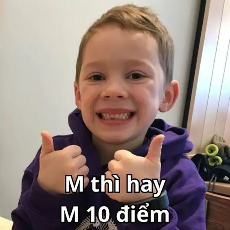meme 10 điểm hài hước trending