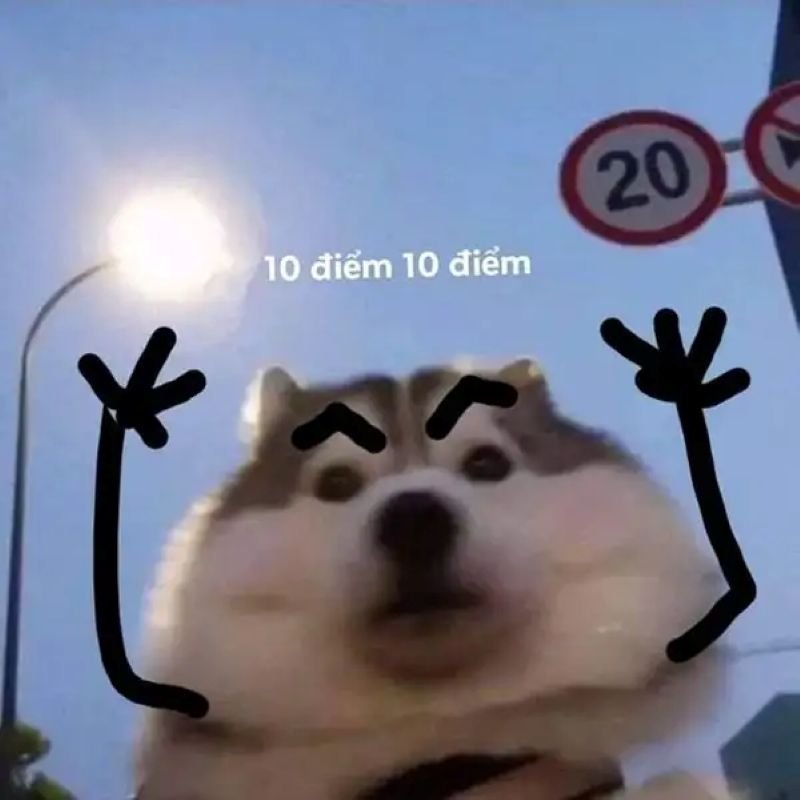 meme 10 điểm khiến ai cũng cười