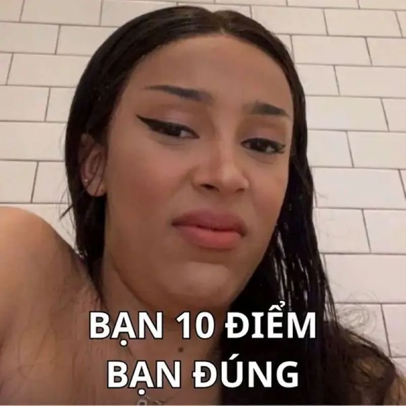 meme 10 điểm khiến bạn cười lớn