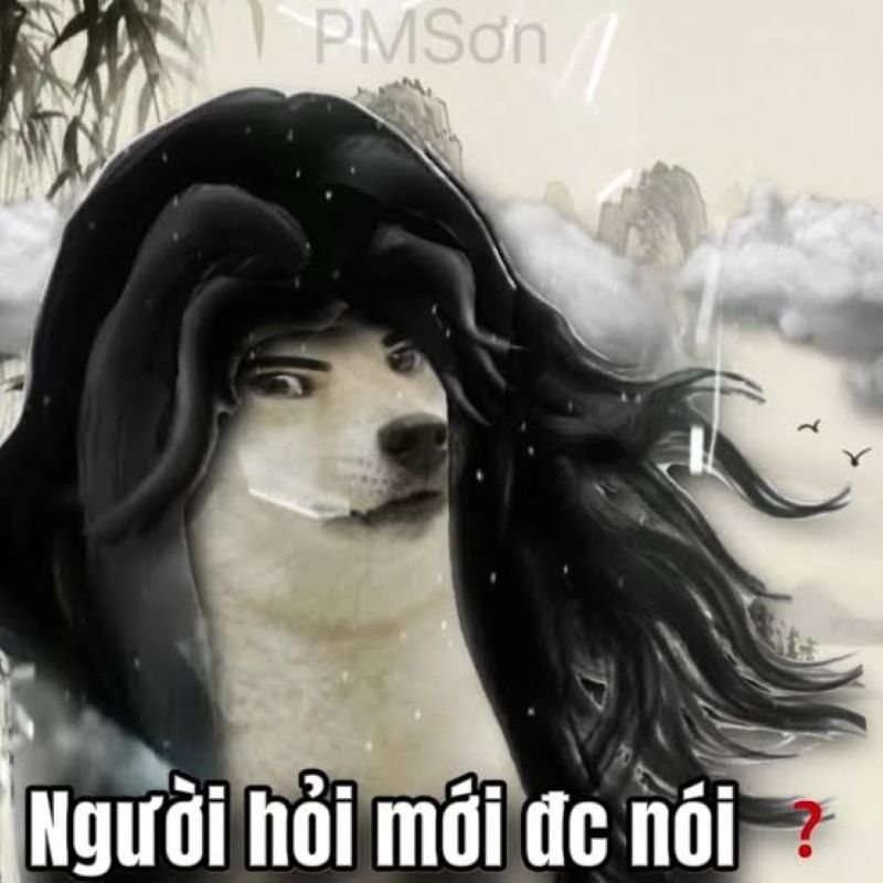 meme ai hỏi cà khịa siêu thấm