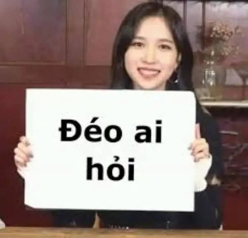 meme ai hỏi cực phẩm hài hước