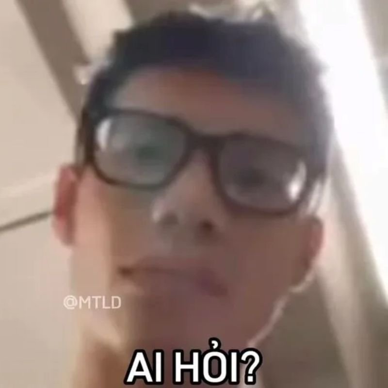 meme ai hỏi đáp lại siêu gắt