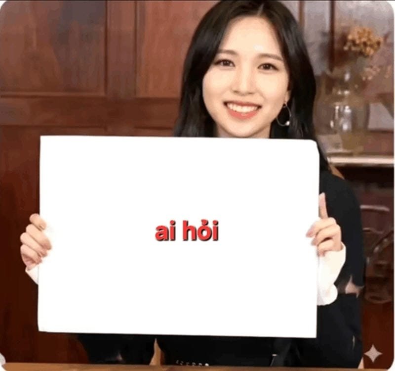 meme ai hỏi khiến ai cũng cười