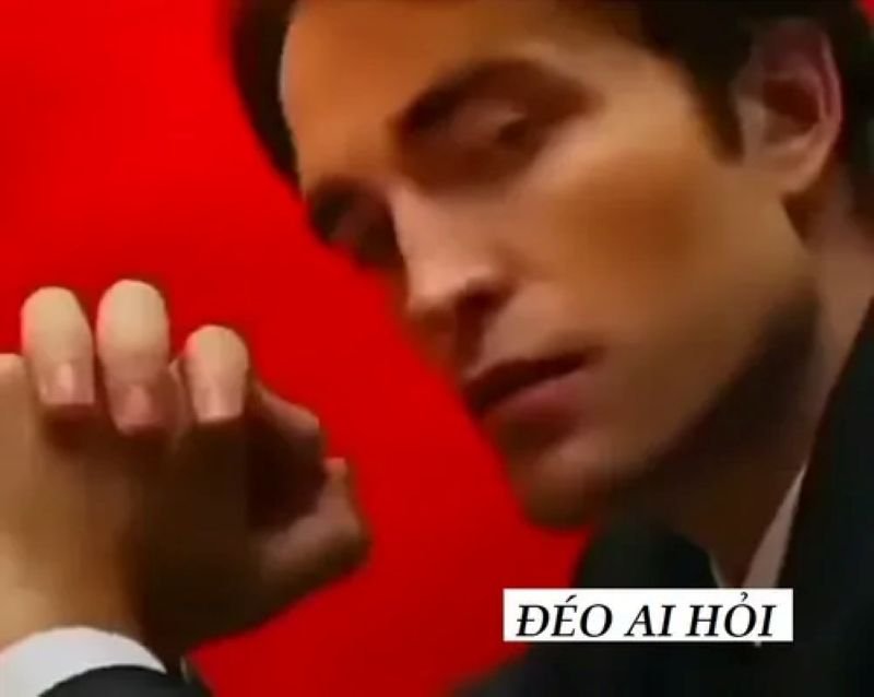 meme ai hỏi khiến dân mạng thích