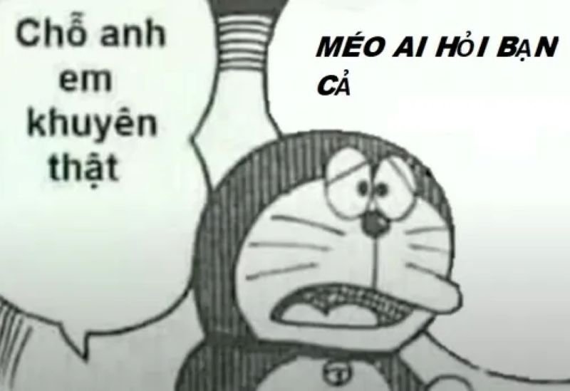 meme ai hỏi mặn mòi khó đỡ