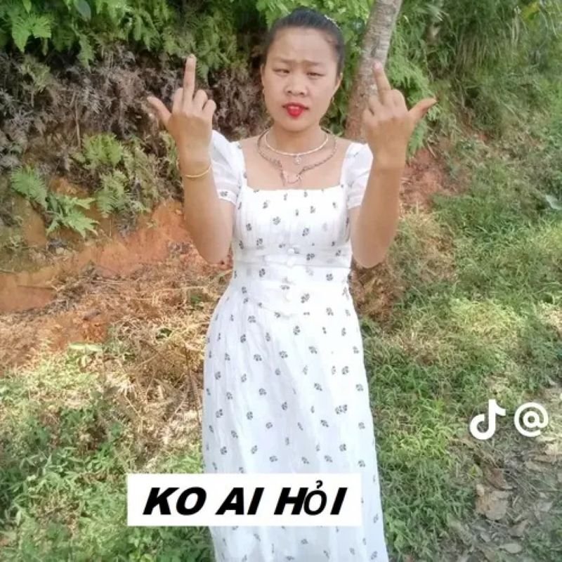 meme ai hỏi siêu hài siêu chất