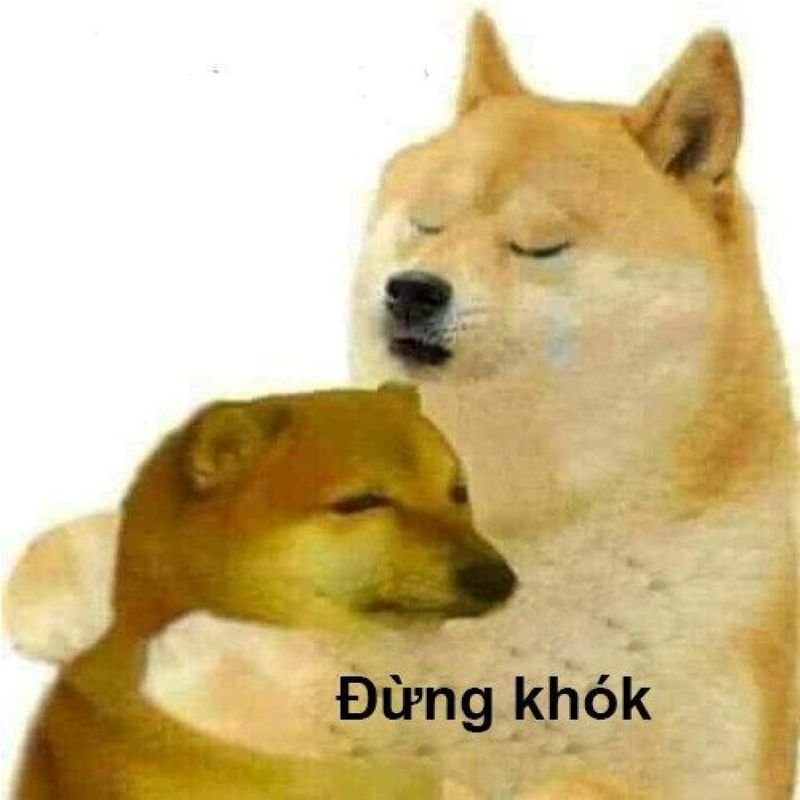meme an ủi nhẹ nhàng đầy yêu thương