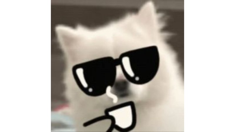 meme avatar biểu cảm cực mặn