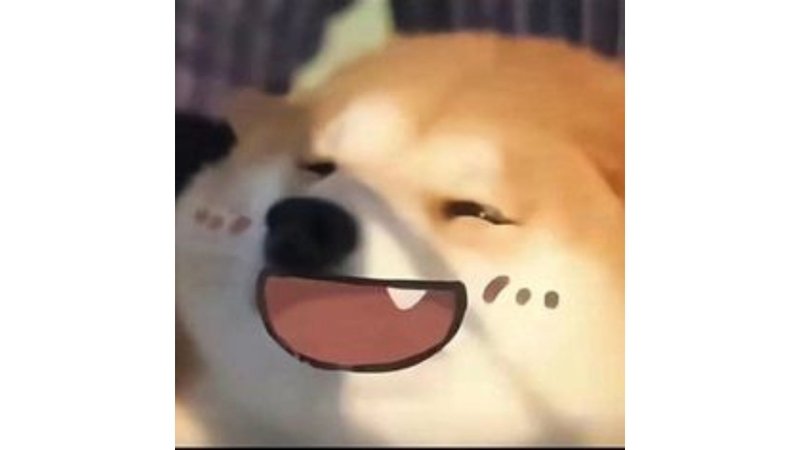 meme avatar biểu cảm siêu lầy