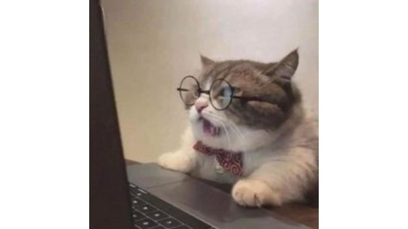 meme avatar chất chơi hài hước