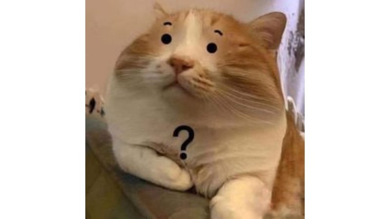 meme avatar cực kỳ bá đạo